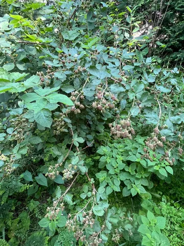 $670,000 | 16 Germain Street, Burlington, VT 05401