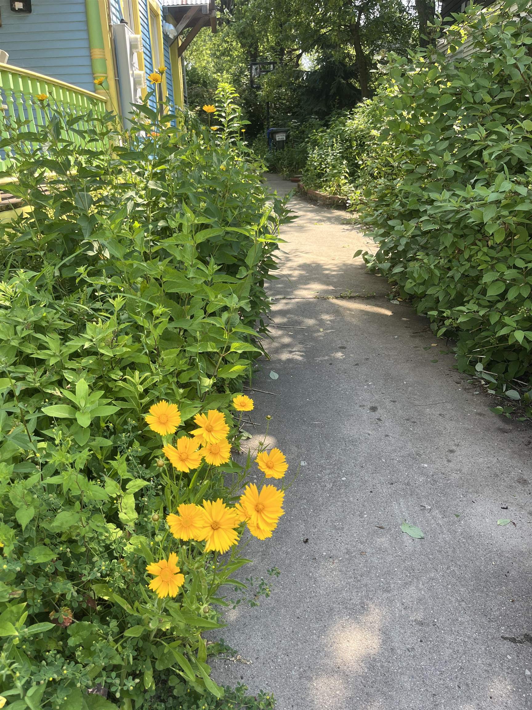 16 Germain Street Burlington, VT 05401 - Photo 53 of 60