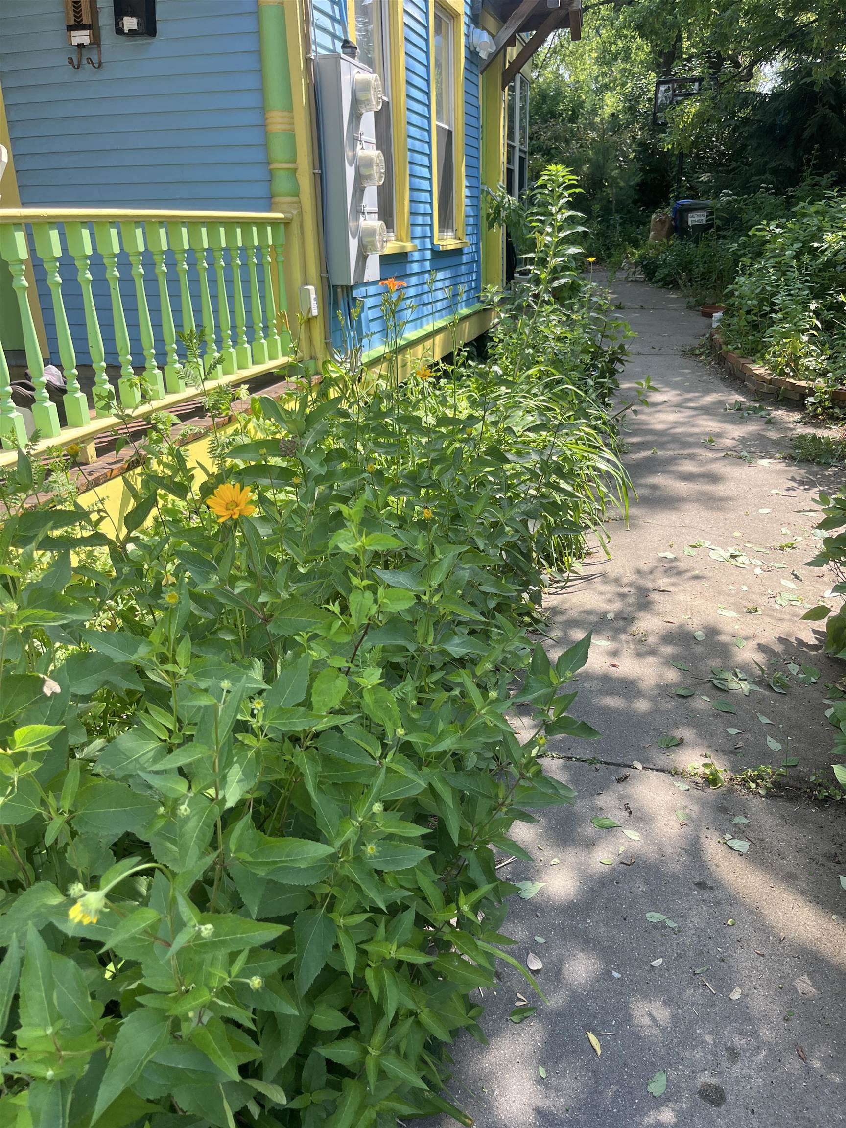 16 Germain Street Burlington, VT 05401 - Photo 54 of 60