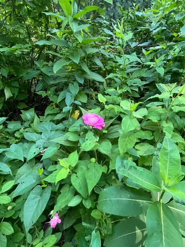 $670,000 | 16 Germain Street, Burlington, VT 05401