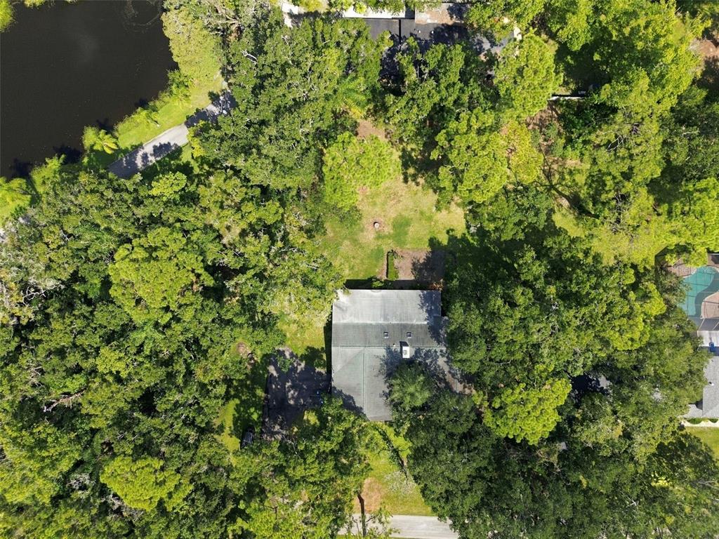 1996 Glenn Road Clearwater, FL 33764 - Photo 33 of 51 Gallery Image 33