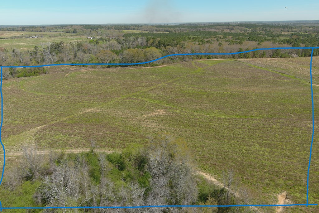 0 Macedonia Ch Road Columbia, AL 36319 - Photo 10 of 61