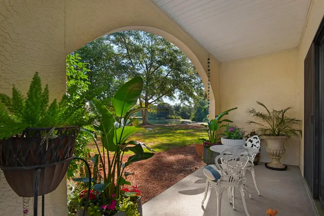 a view of a backyard with plants and a patio