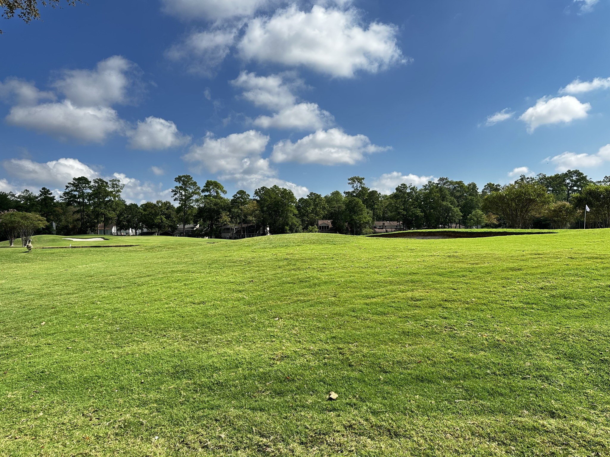 11106 Ellwood Street Spring, TX 77380 - Photo 20 of 20