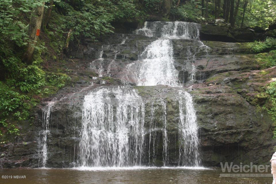 11280 Ellenton Mountain Road Shunk, PA 17768 - Photo 4 of 61 Buttermilk Falls