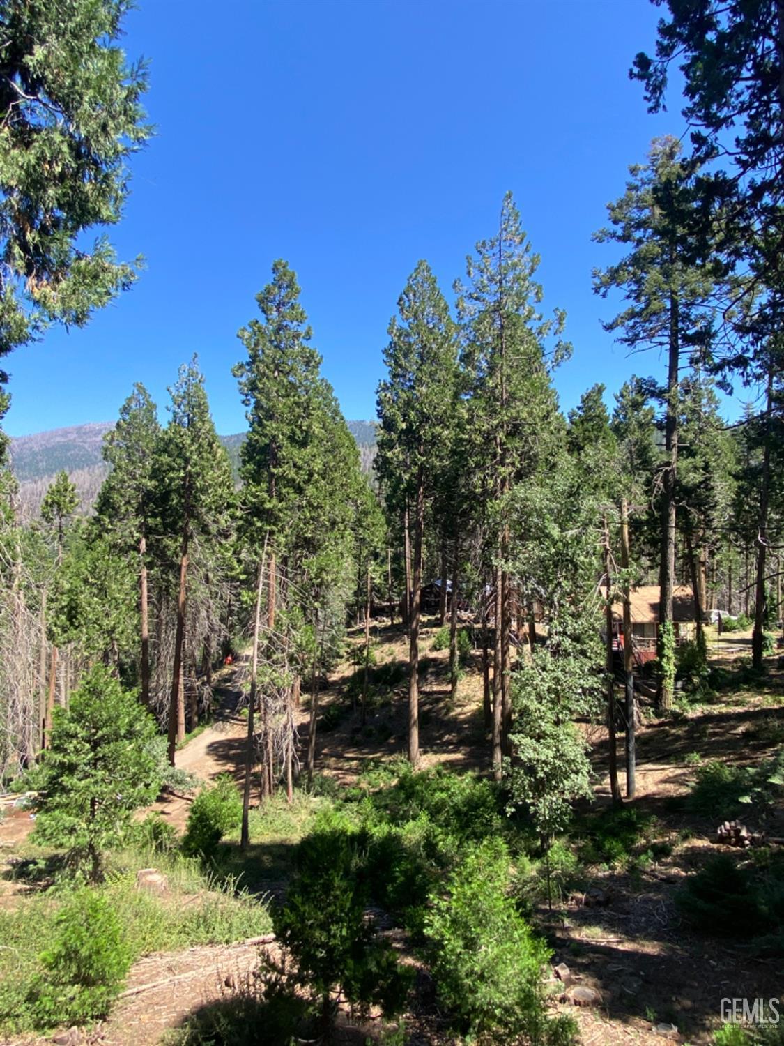 Undisclosed Address Posey, CA 93260 - Photo 28 of 35 a view of a garden with lawn chairs under an umbrella
