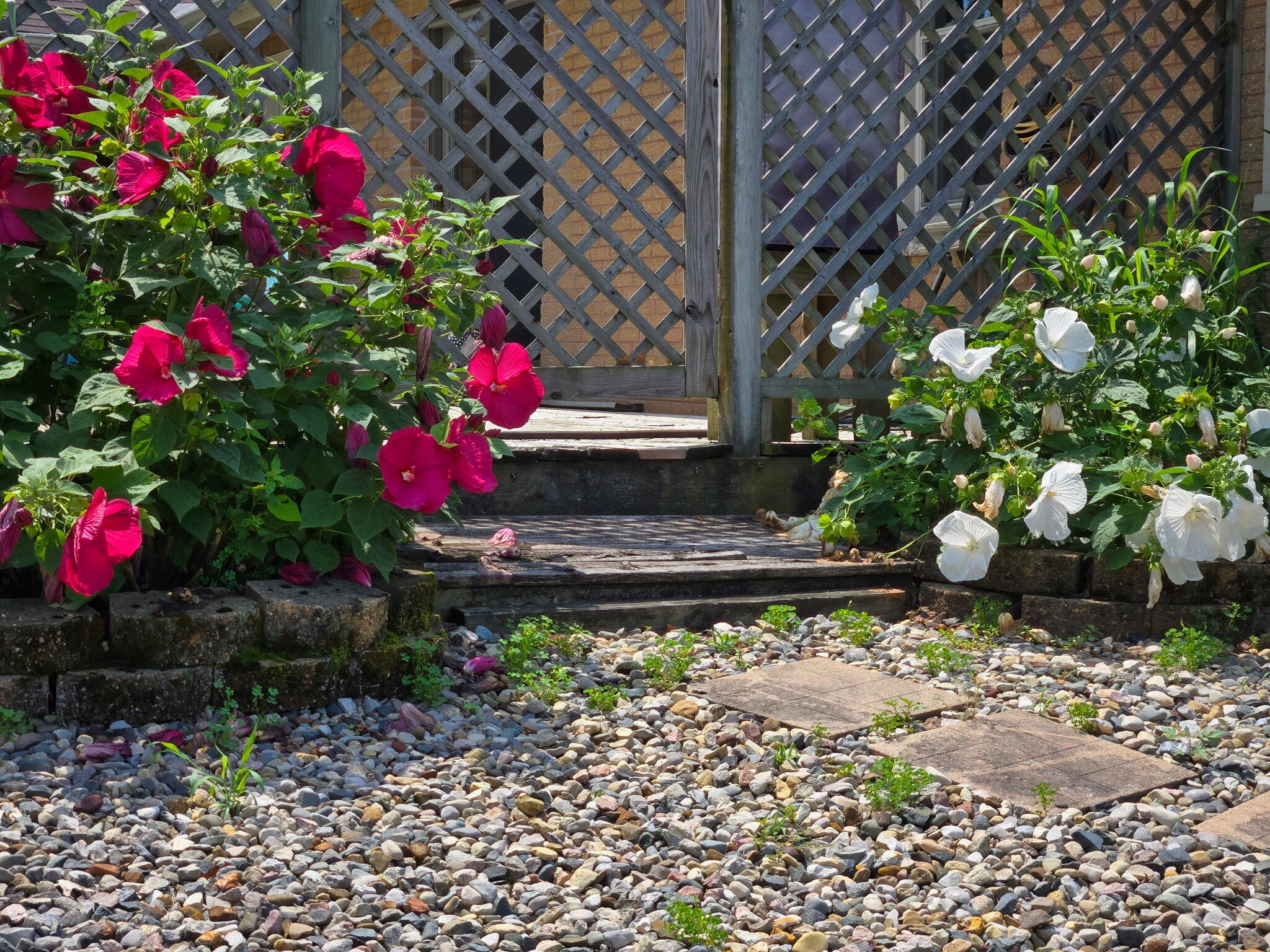 138 McClung Road La Porte, IN 46350 - Photo 47 of 50 a view of a backyard with flowers and flowers