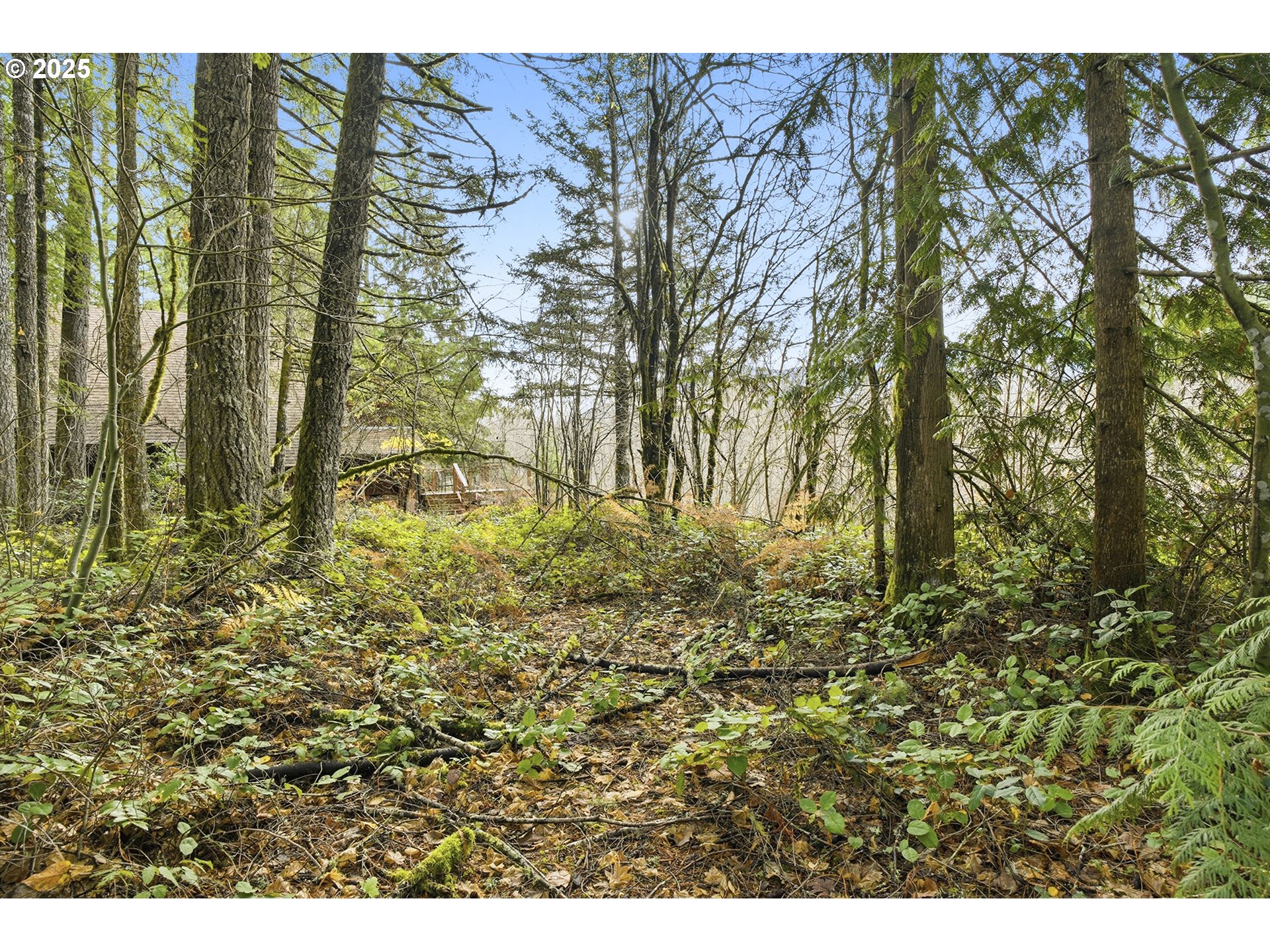 65344 East Sandy River Lane Rhododendron, OR 97049 - Photo 3 of 9