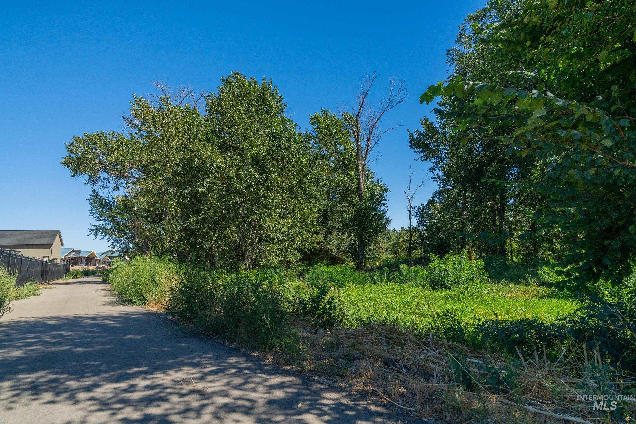 623 Watkins Street Middleton, ID 83644 - Photo 4 of 9 View of asphalt street