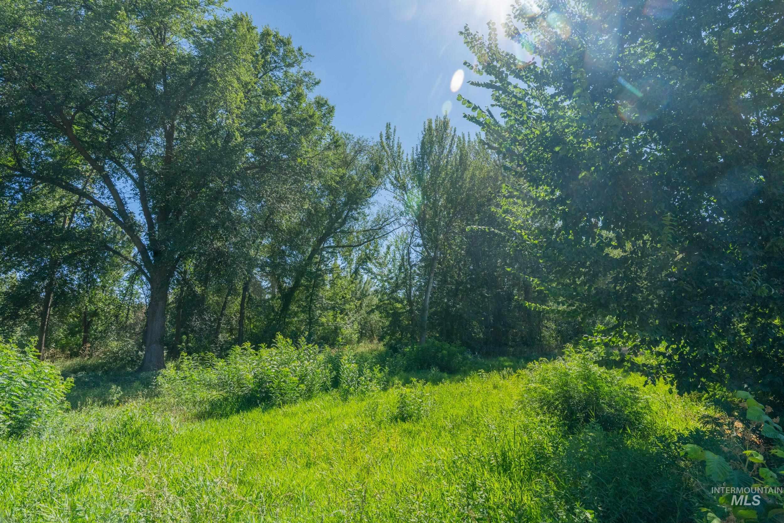 623 Watkins Street Middleton, ID 83644 - Photo 6 of 9 View of undeveloped land