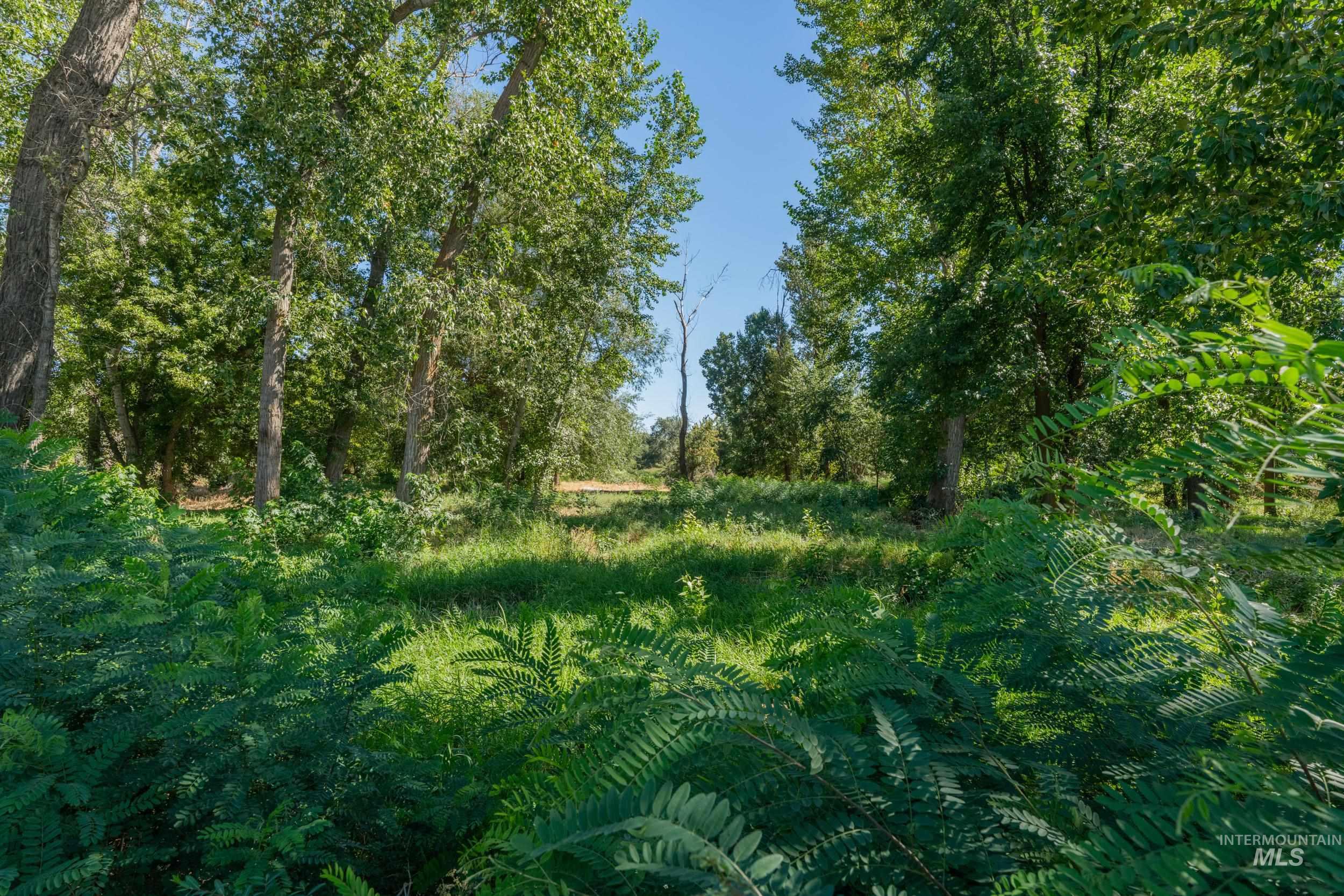 623 Watkins Street Middleton, ID 83644 - Photo 7 of 9 View of local wilderness