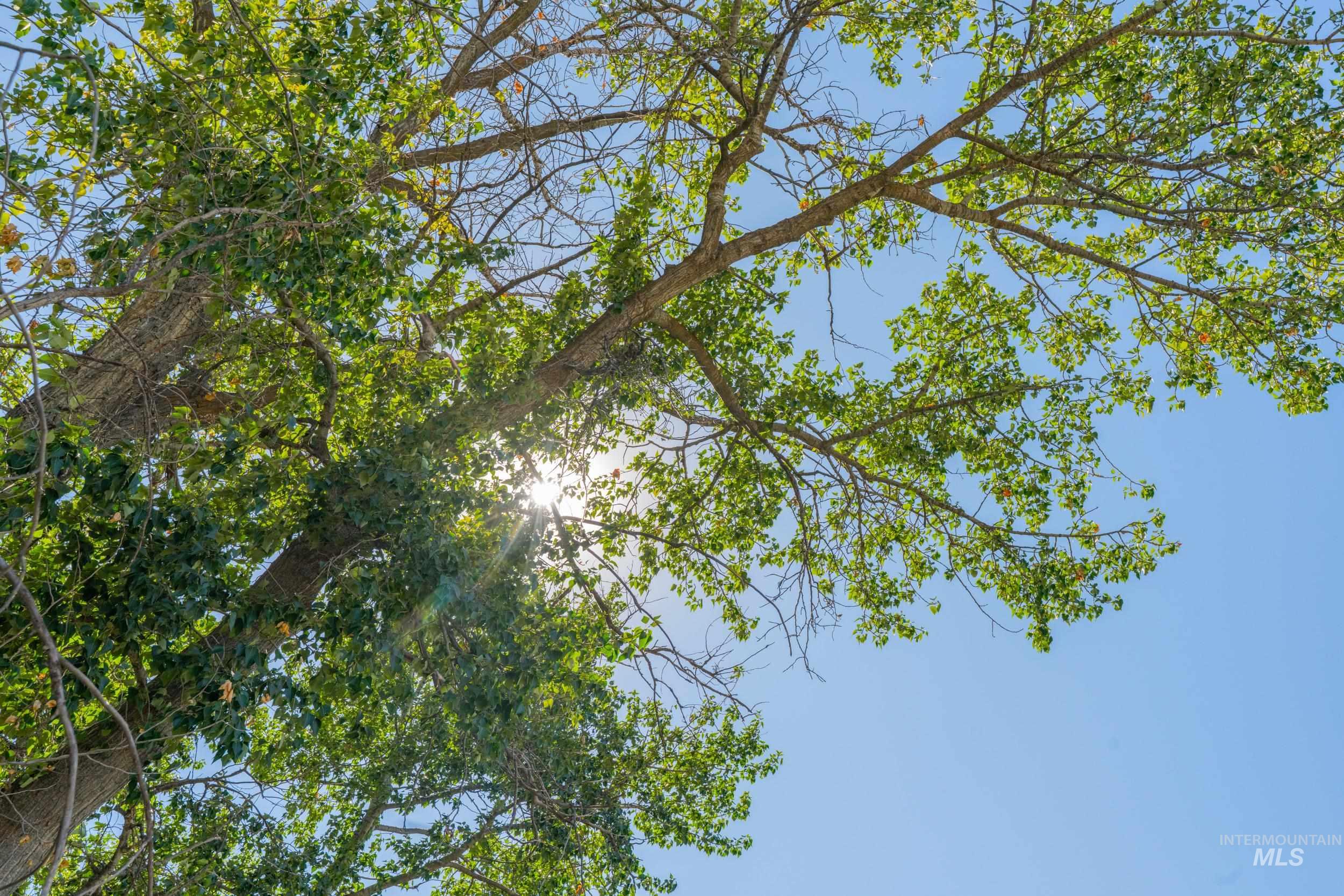 623 Watkins Street Middleton, ID 83644 - Photo 9 of 9 Exterior view