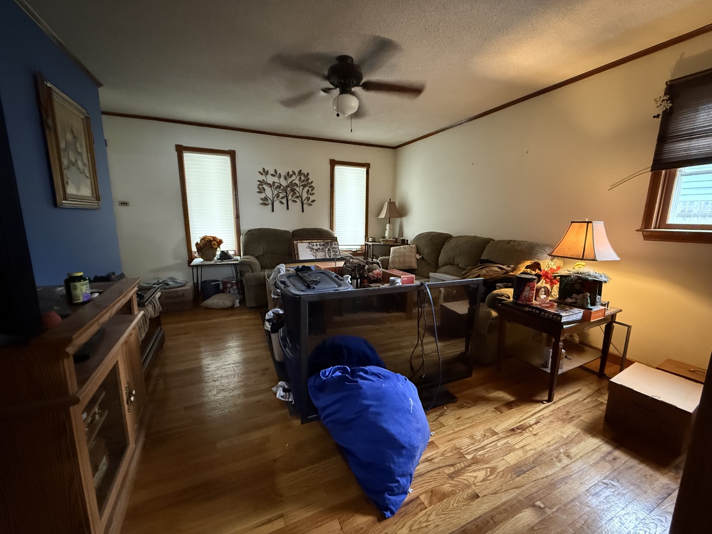 54 Apache Street Park Forest, IL 60466 - Photo 3 of 21 a living room with furniture windows and a fireplace