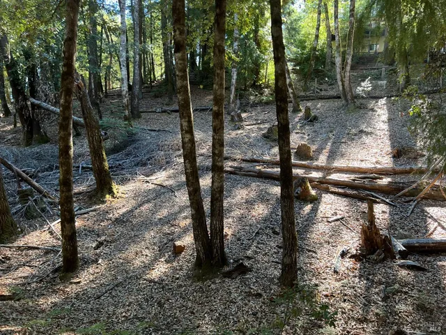 $5,000 | 27208 Bear Circle, Willits, CA 95490