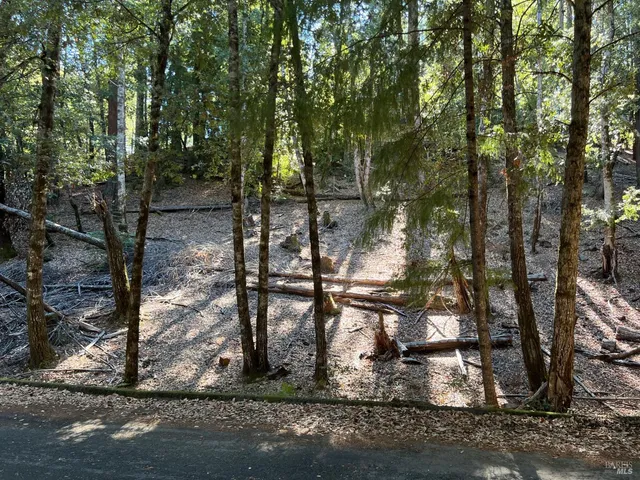$5,000 | 27208 Bear Circle, Willits, CA 95490