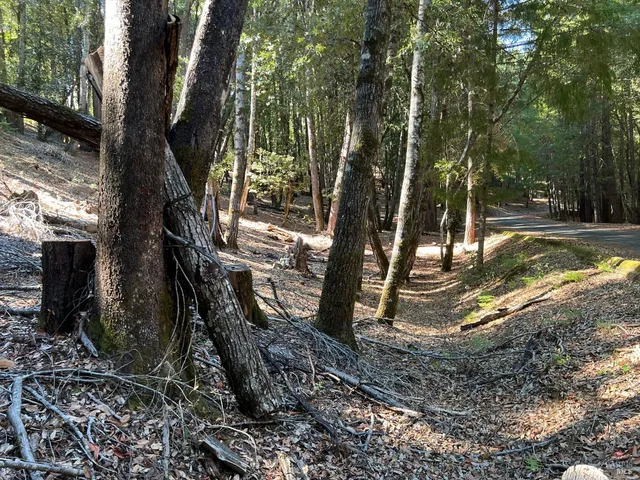 $5,000 | 27208 Bear Circle, Willits, CA 95490