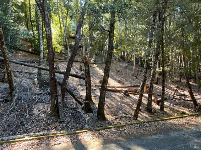 $5,000 | 27208 Bear Circle, Willits, CA 95490