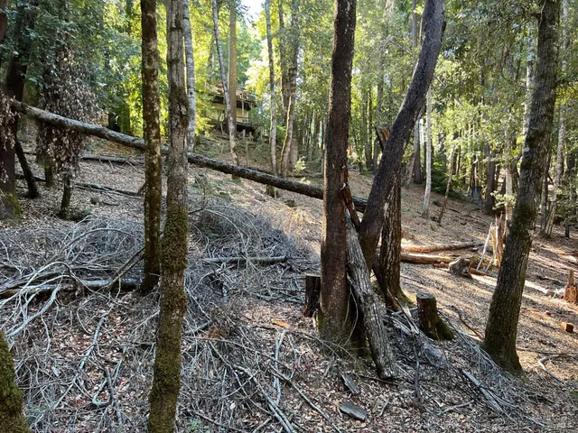 $5,000 | 27208 Bear Circle, Willits, CA 95490