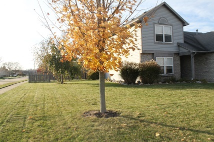 4034 Thomas Jefferson Road Lafayette, IN 47909 - Photo 3 of 35 Gallery Image 3