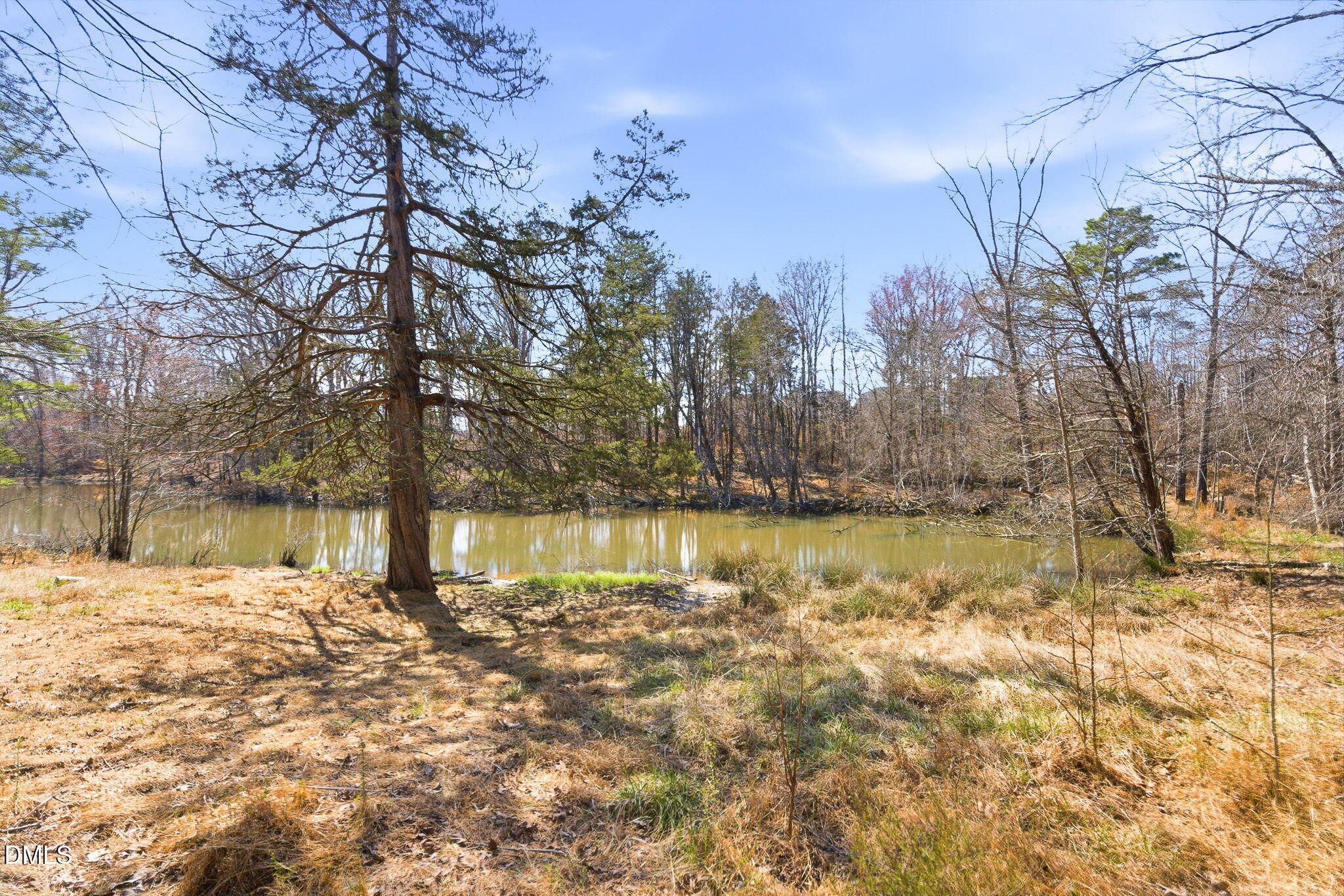 1603 Sykes Road Mebane, NC 27302 - Photo 36 of 45 35-web-or-mls-DSC01407