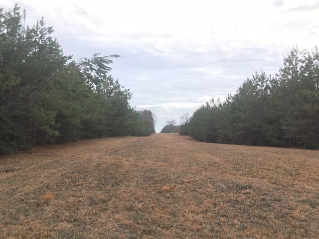 116 Bethlehem Loop Road Kokomo, MS 39643 - Photo 1 of 1 Main View