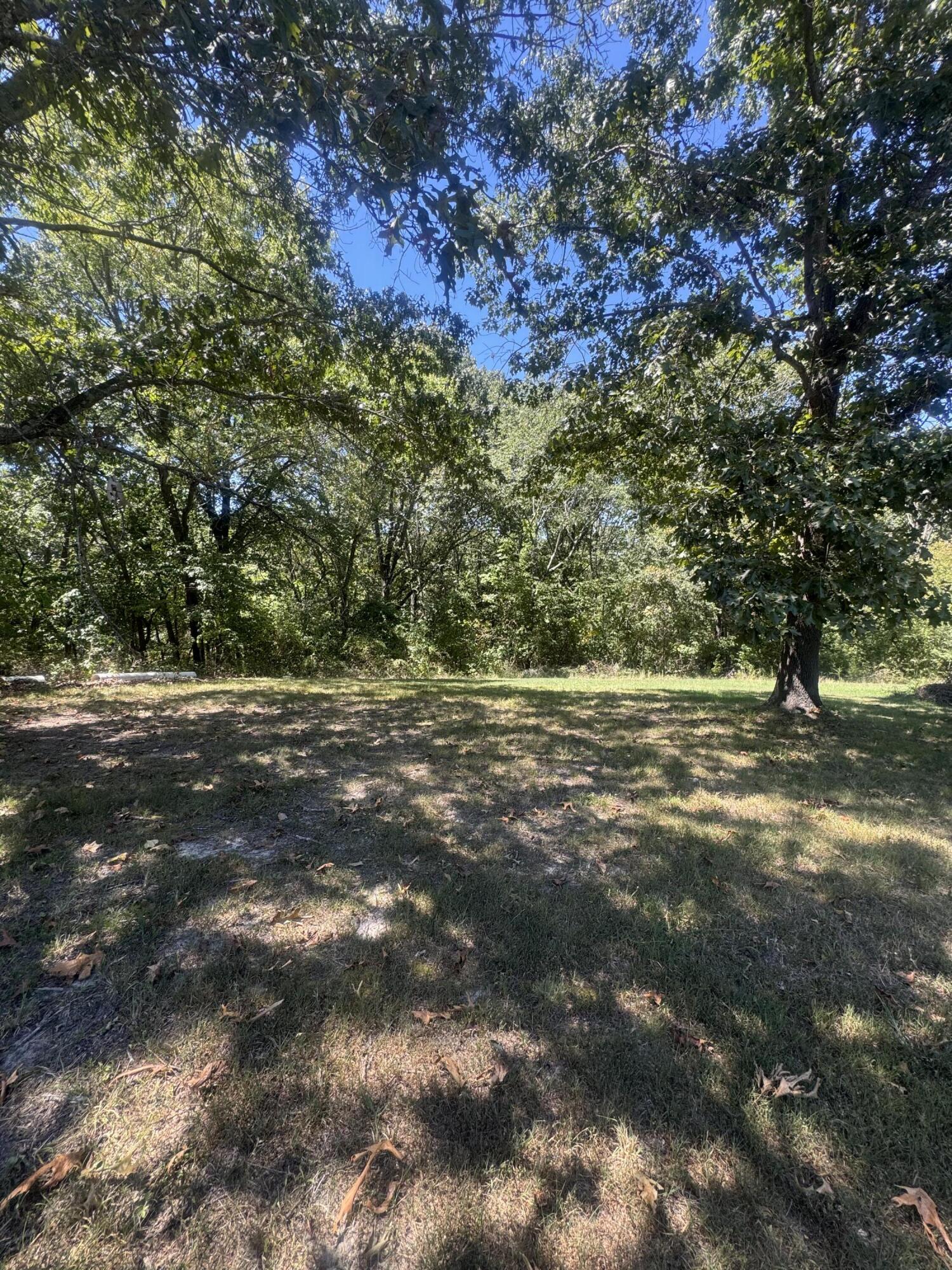 0 Rt 248 Galena, MO 65656 - Photo 2 of 3 IMG_8026