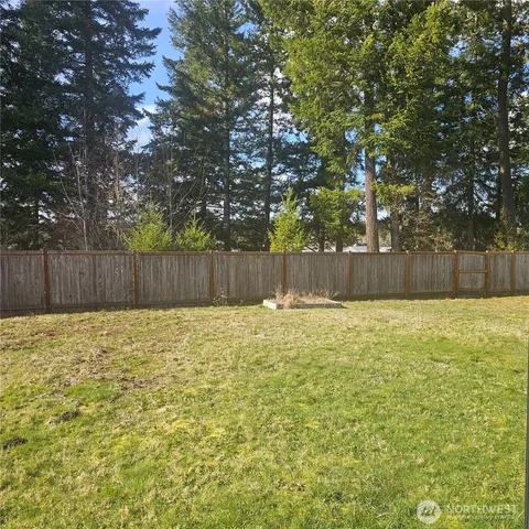 a view of a forest with trees