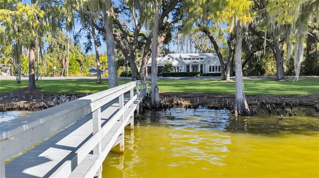 a view of yard with trees