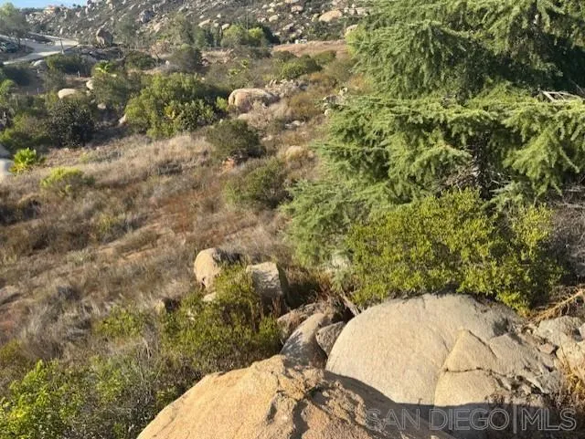 28795 Welcome View Hidden Meadows, CA 92026 - Photo 14 of 16 an aerial view of a house with a yard and large trees