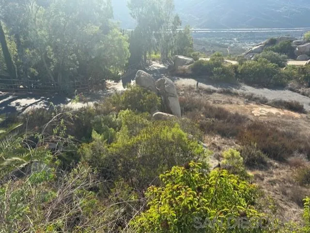 28795 Welcome View Hidden Meadows, CA 92026 - Photo 16 of 16 a view of a yard