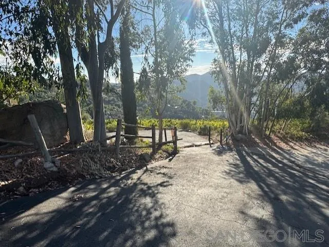 28795 Welcome View Hidden Meadows, CA 92026 - Photo 9 of 16 a view of a forest with trees