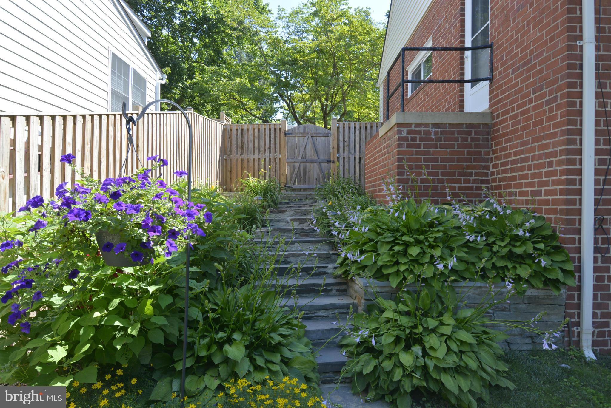 4712 Edgefield Road Bethesda, MD 20814 - Photo 11 of 26 Exterior (General)