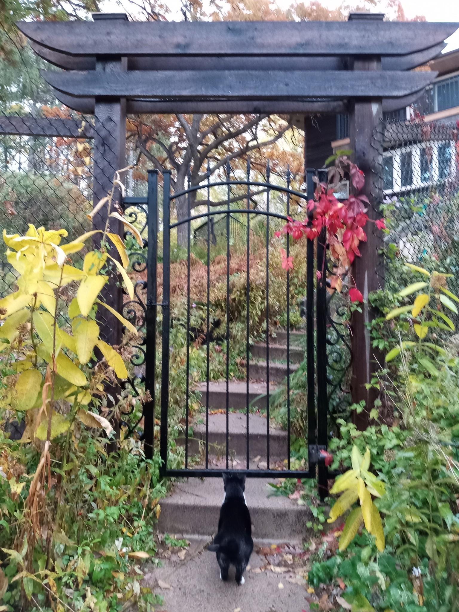 5338 Highland Road Minnetonka, MN 55345 - Photo 11 of 23