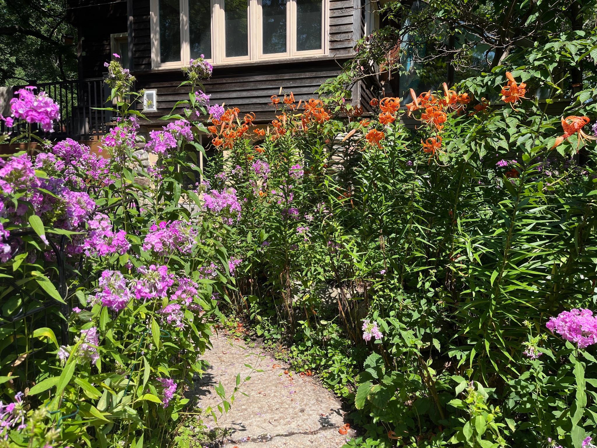 5338 Highland Road Minnetonka, MN 55345 - Photo 12 of 23