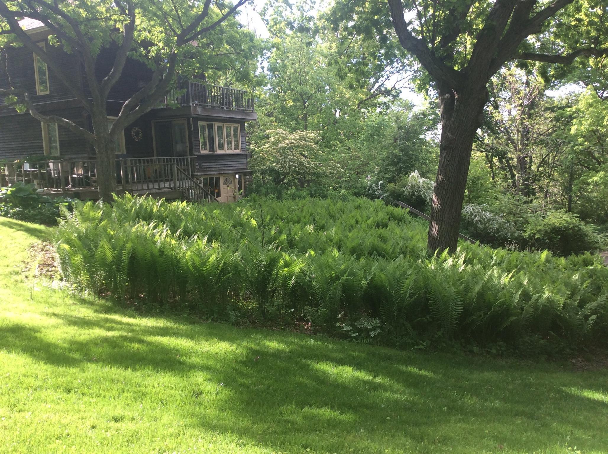 5338 Highland Road Minnetonka, MN 55345 - Photo 13 of 23