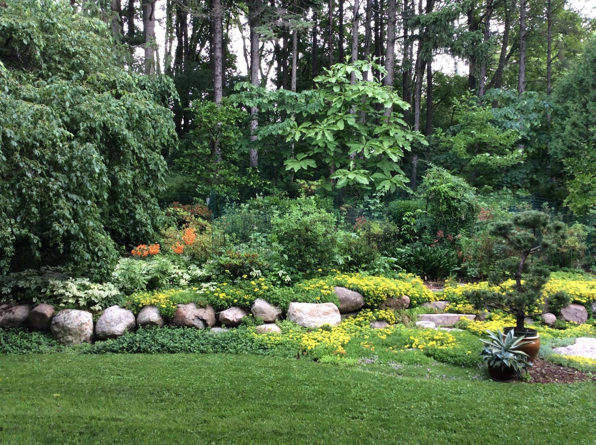 5338 Highland Road Minnetonka, MN 55345 - Photo 15 of 23