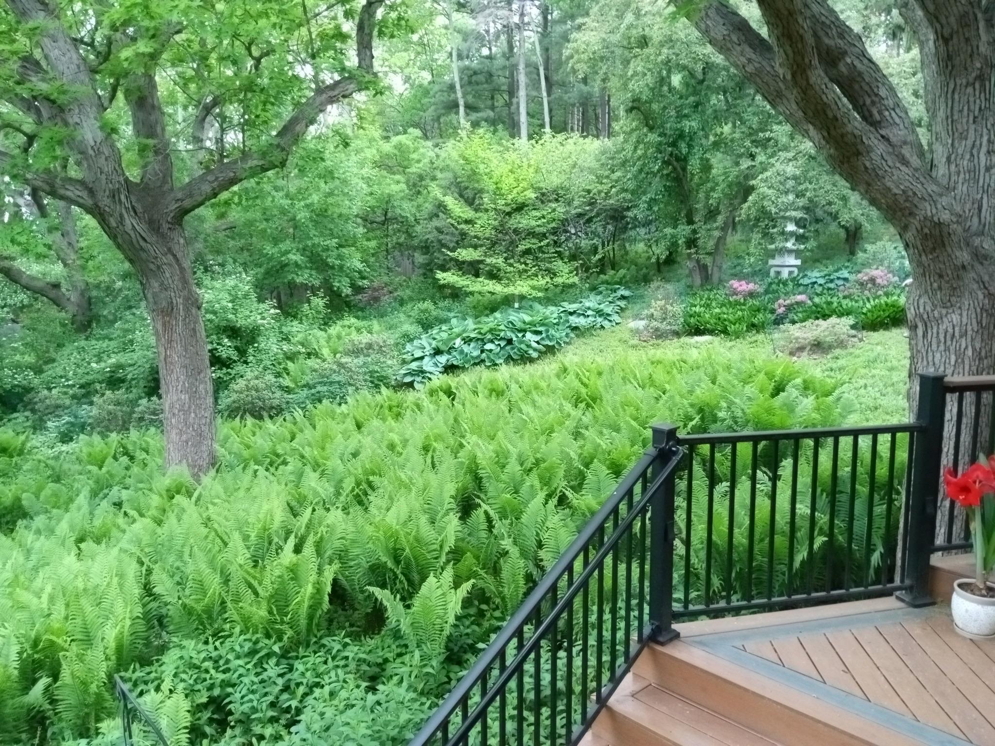 5338 Highland Road Minnetonka, MN 55345 - Photo 16 of 23