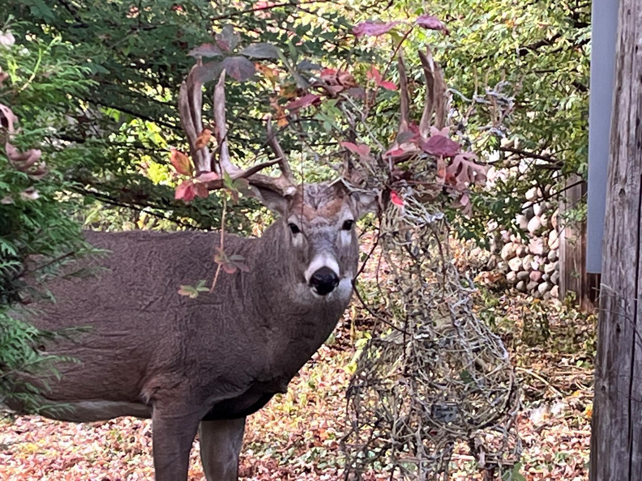 5338 Highland Road Minnetonka, MN 55345 - Photo 20 of 23