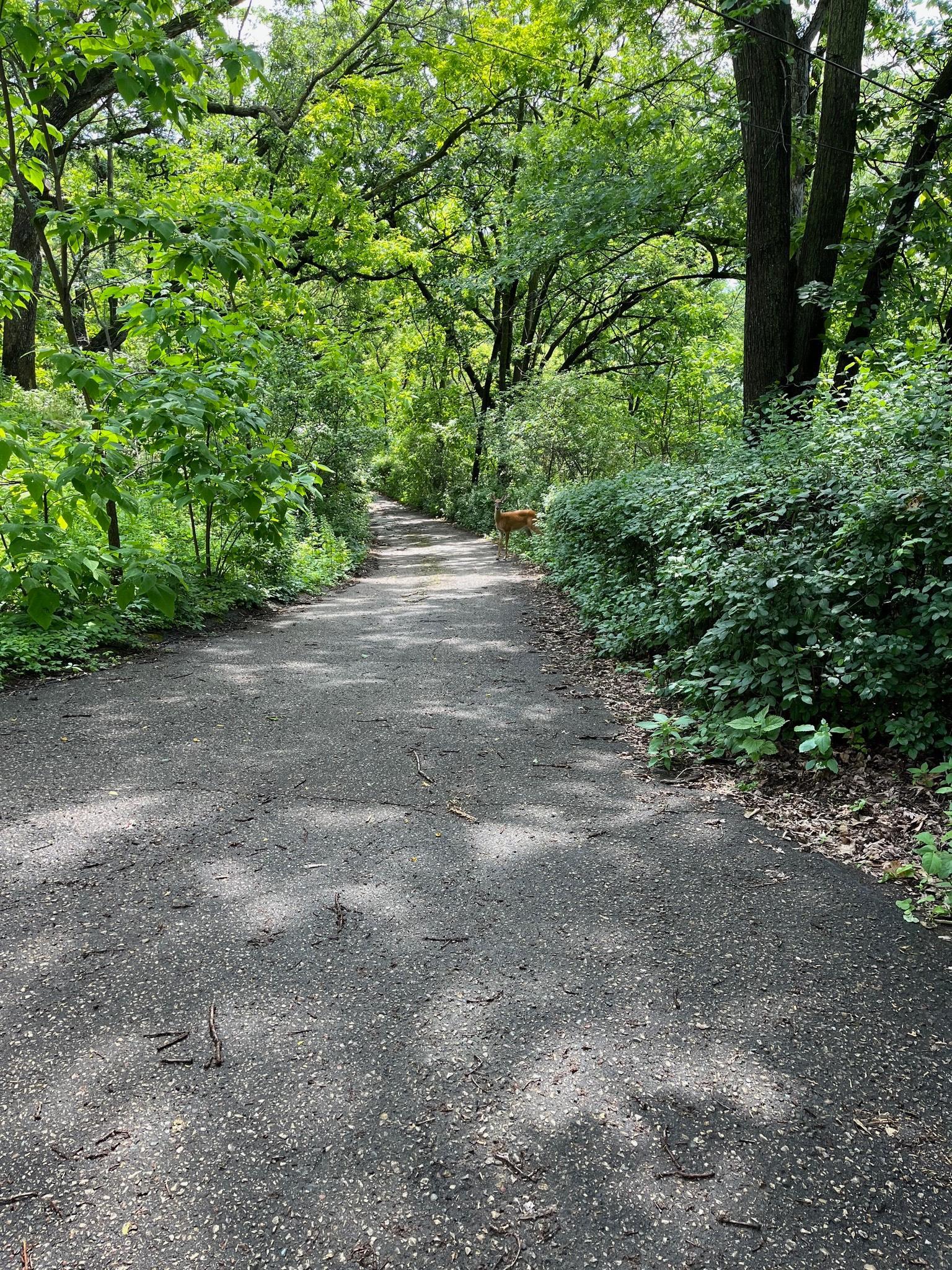 5338 Highland Road Minnetonka, MN 55345 - Photo 4 of 23