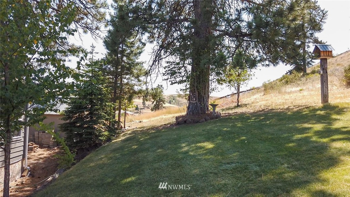 3111 Bettas Road Cle Elum, WA 98922 - Photo 6 of 21 a view of a yard with large trees