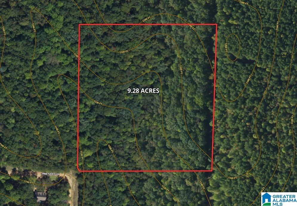 0 Pinetucky Lane, Unit 7 Heflin, AL 36264 - Photo 2 of 12