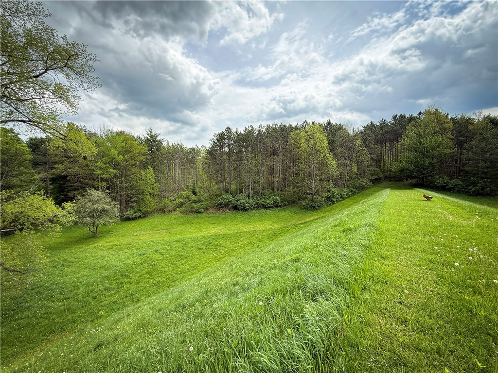 450 Dean Creek Road Spencer, NY 14883 - Photo 23 of 50