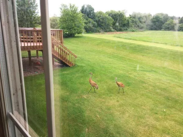 $3,800 | 5432 West Burning Bush Lane, Mequon, WI 53092