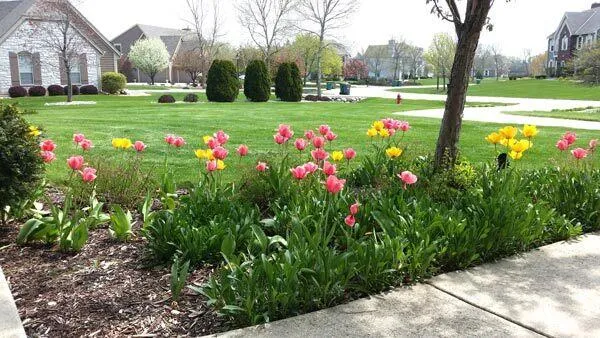 $3,800 | 5432 West Burning Bush Lane, Mequon, WI 53092