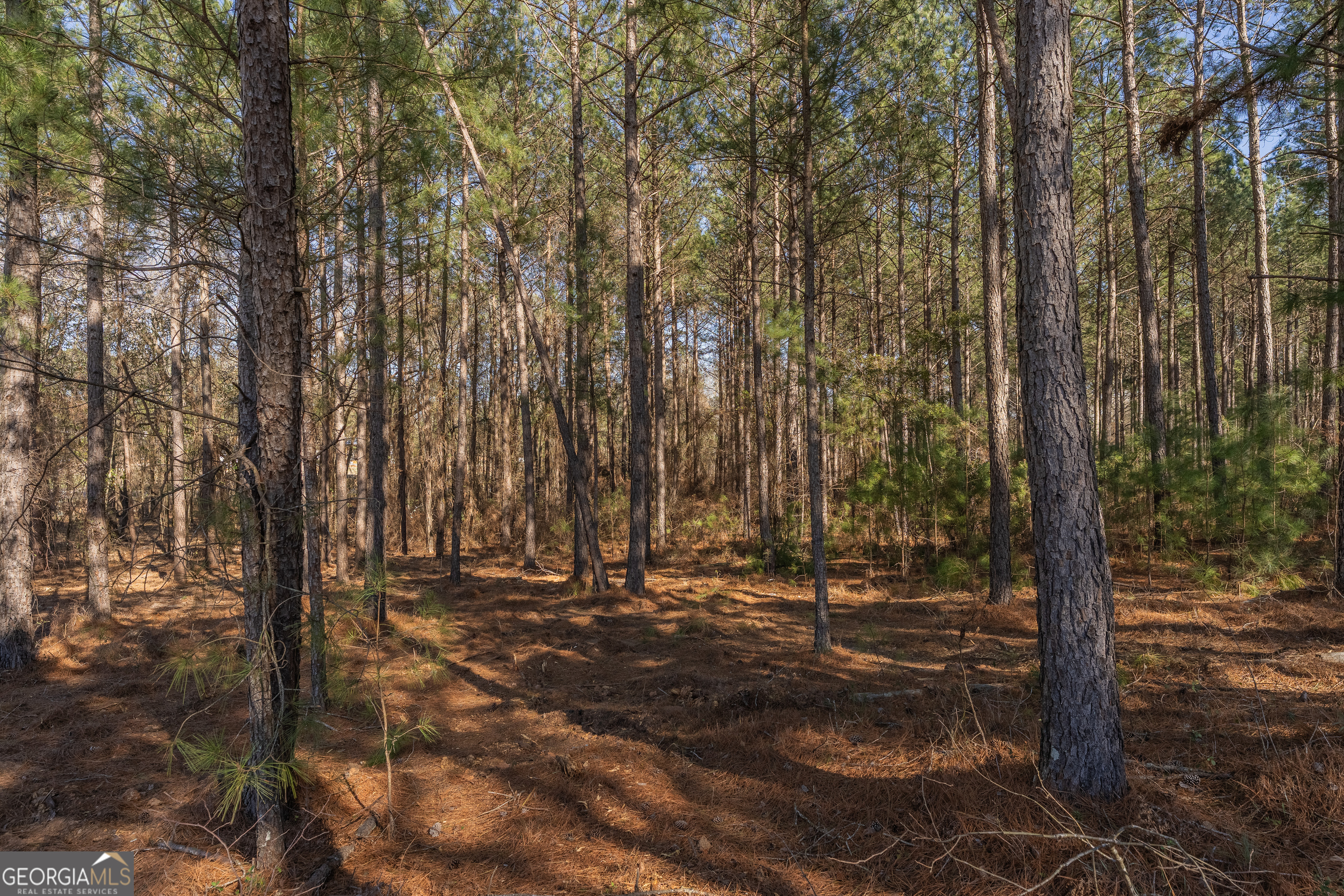 Lot 5 Golf Course Road Eastman, GA 31023 - Photo 12 of 14 a view of outdoor space with trees