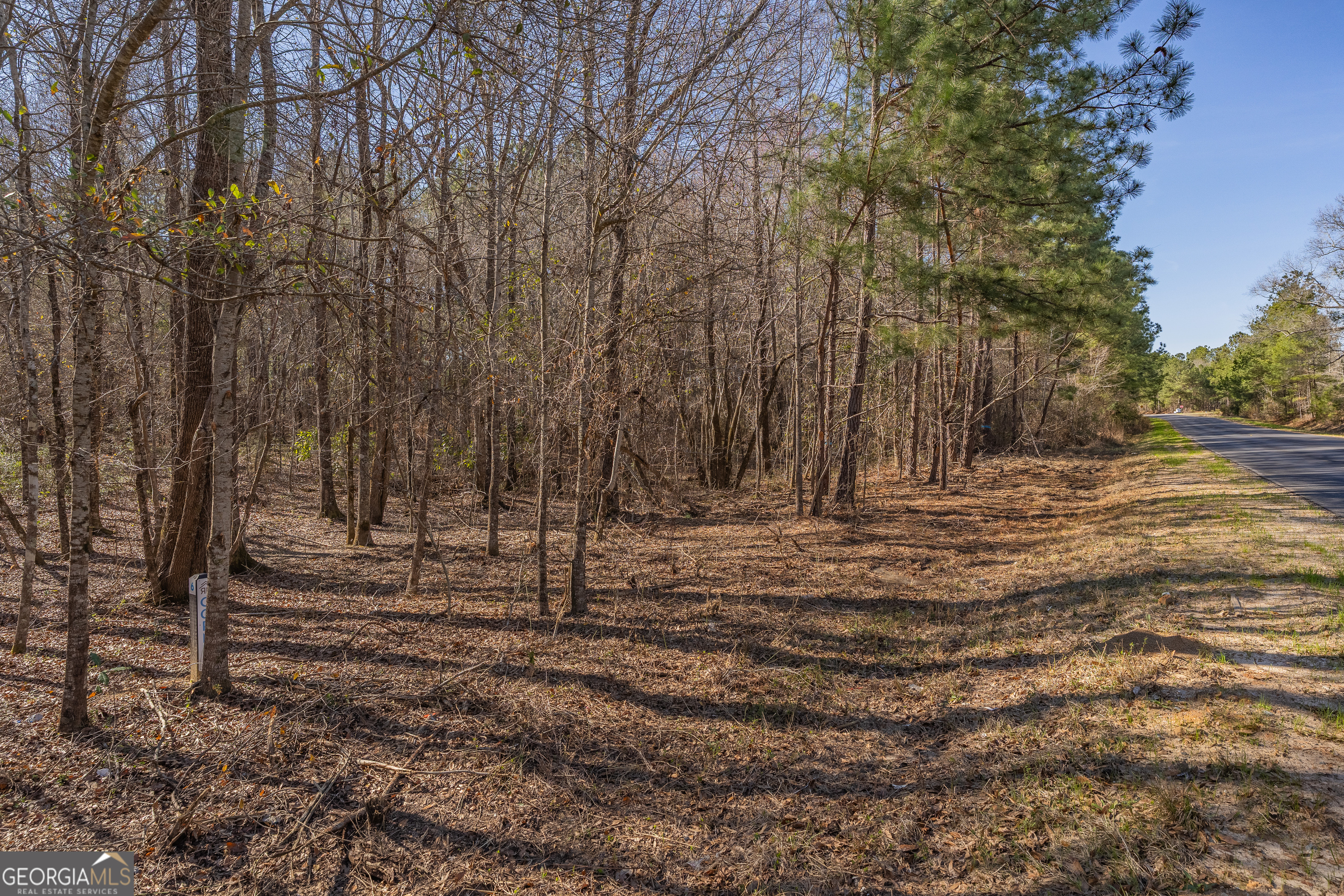 Lot 5 Golf Course Road Eastman, GA 31023 - Photo 13 of 14 a view of outdoor space with trees