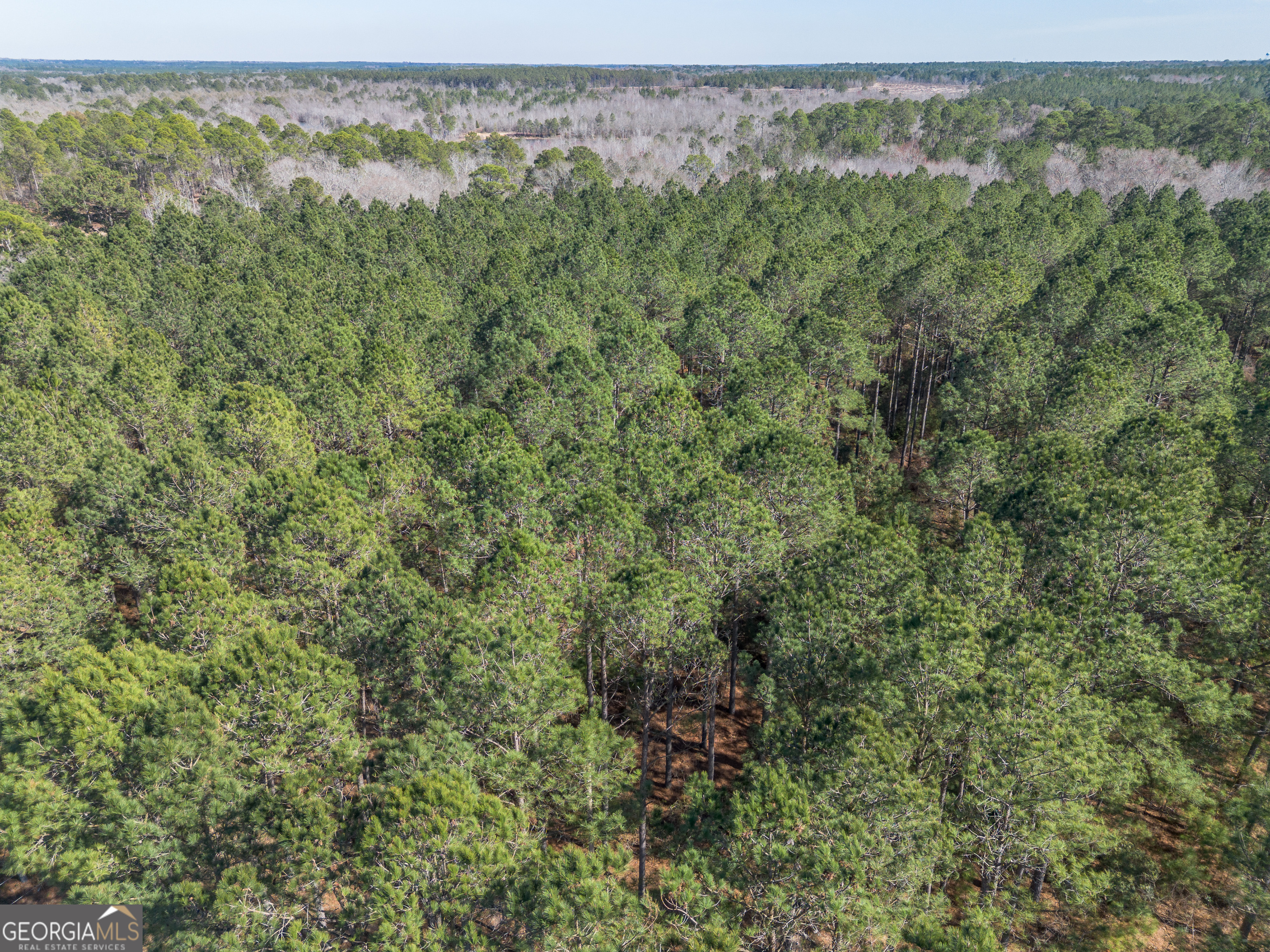 Lot 5 Golf Course Road Eastman, GA 31023 - Photo 3 of 14 a view of a forest with a street
