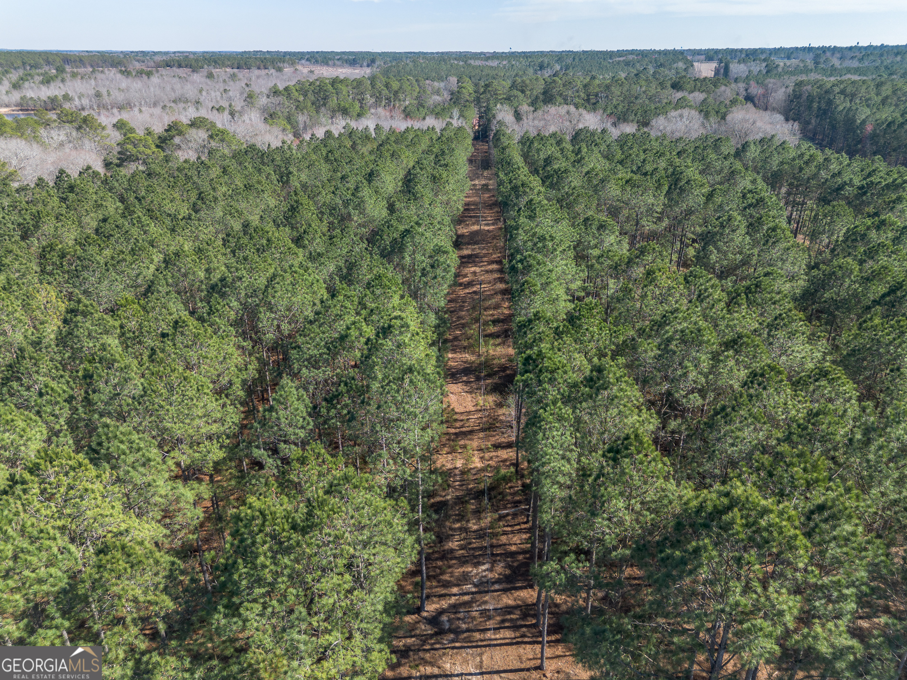 Lot 5 Golf Course Road Eastman, GA 31023 - Photo 4 of 14 a view of a forest with trees
