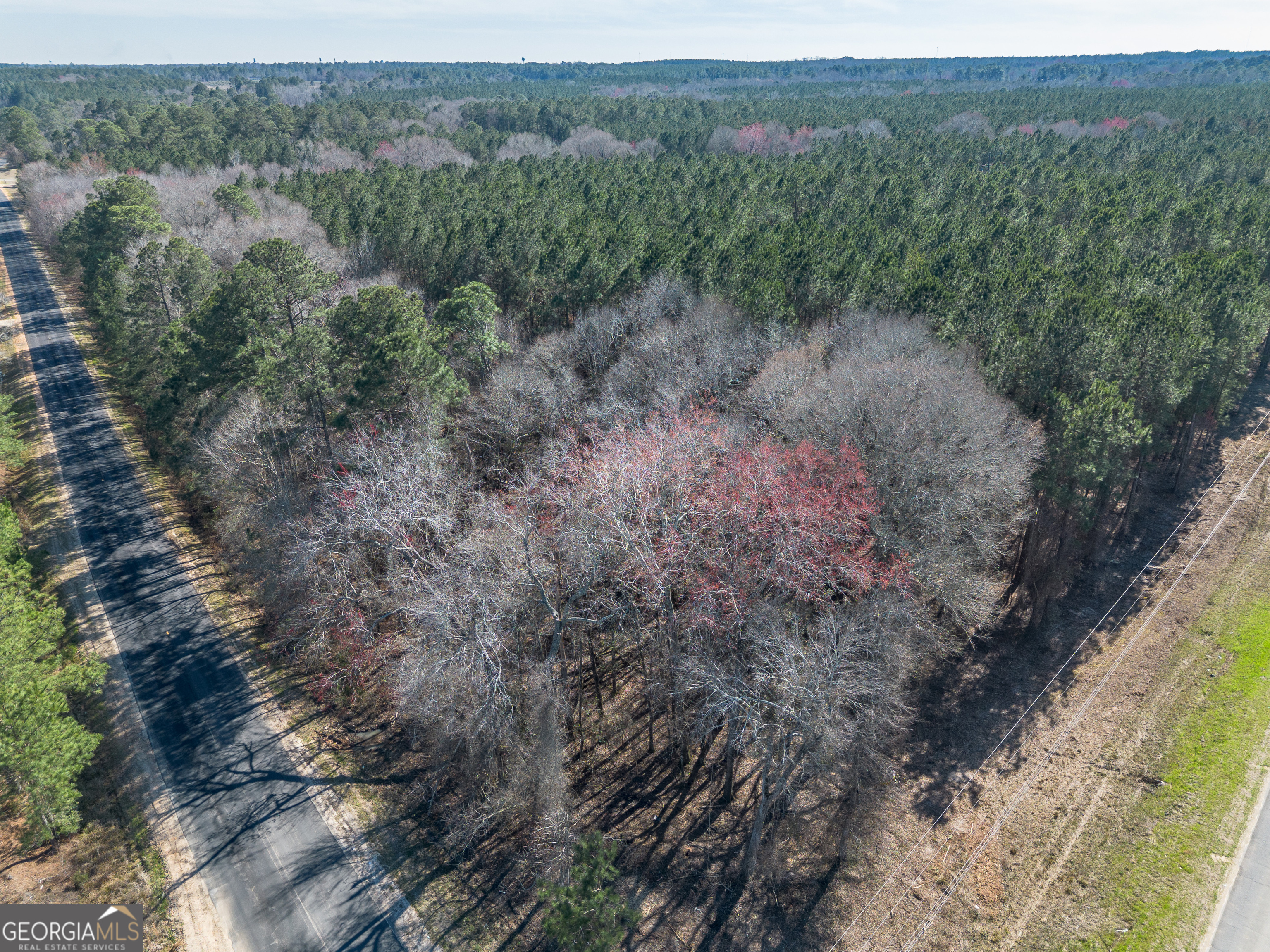 Lot 5 Golf Course Road Eastman, GA 31023 - Photo 5 of 14 a view of a forest with trees in the background