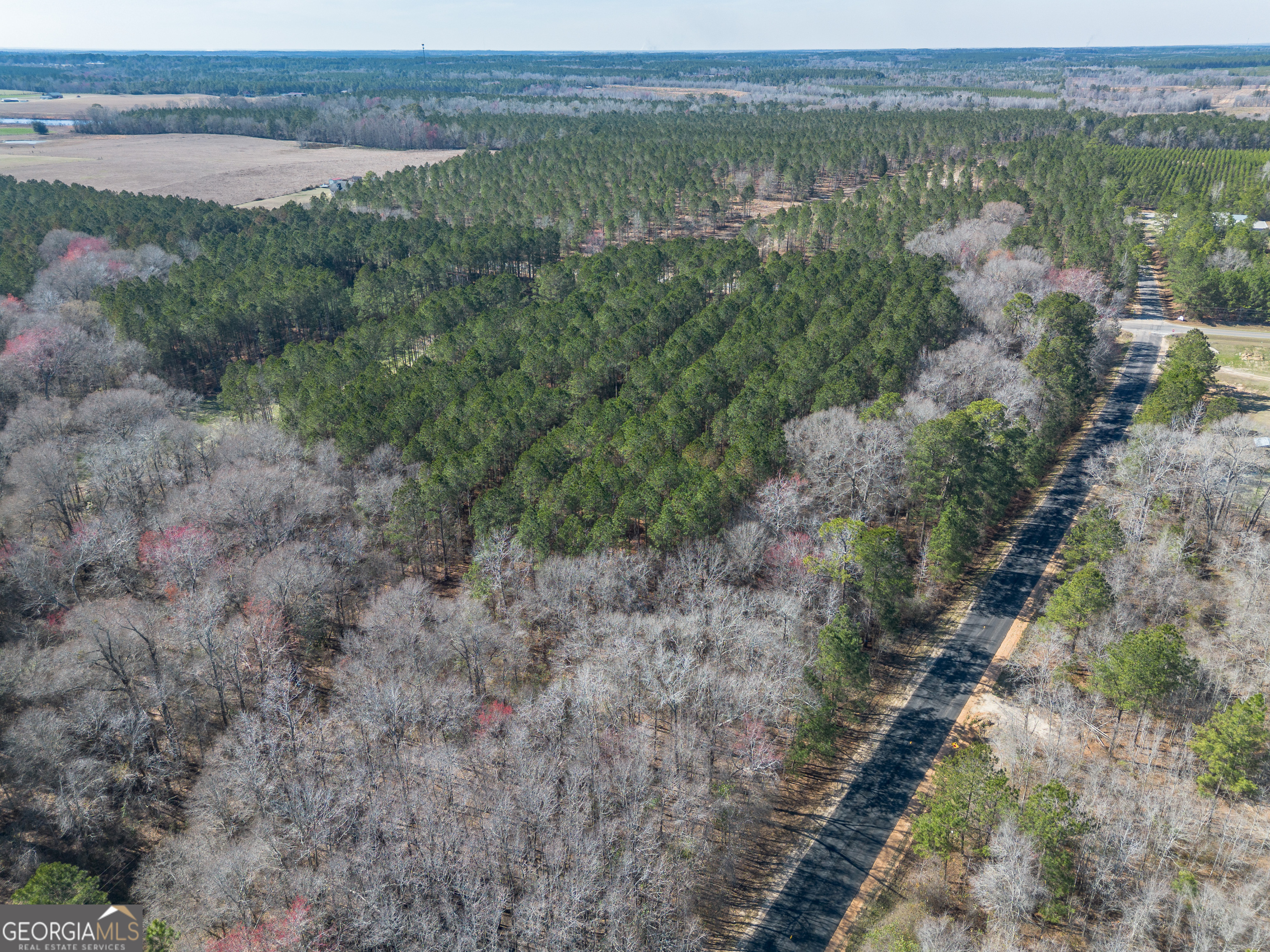Lot 5 Golf Course Road Eastman, GA 31023 - Photo 6 of 14 an aerial view of forest